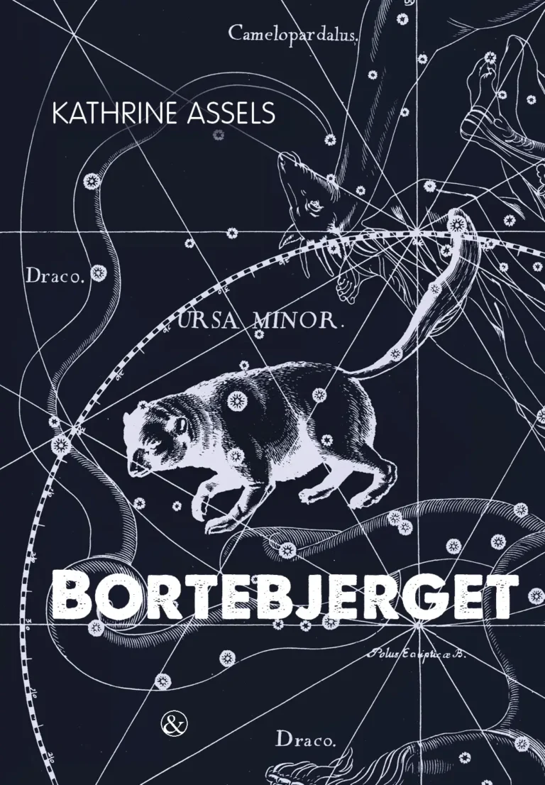 Gengivelse af bogens forside